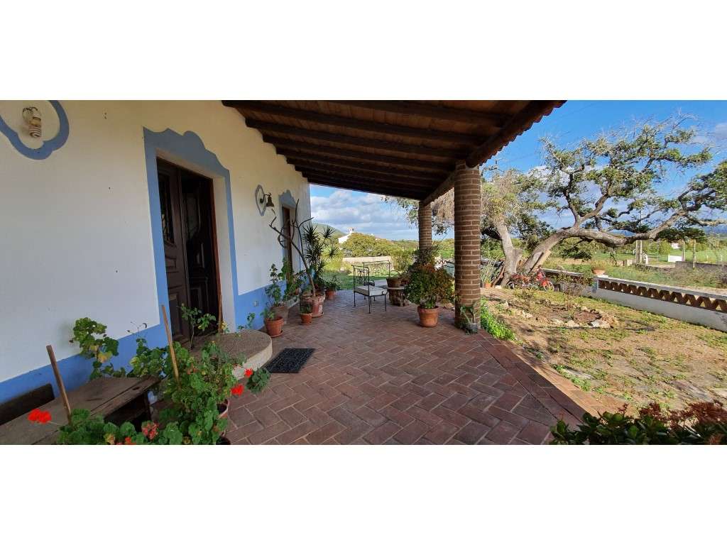 Quinta T5 com 11.250 m2 na zona de Serpa - Grande imagem: 4/45