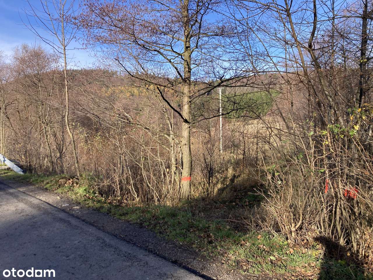 Atracyjna działka - Góry Sowie - Glinno-9