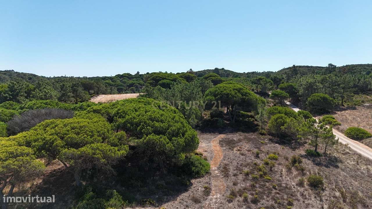 Terreno com área de 10.000m2 com projeto aprovado perto da Aldeia do M-3
