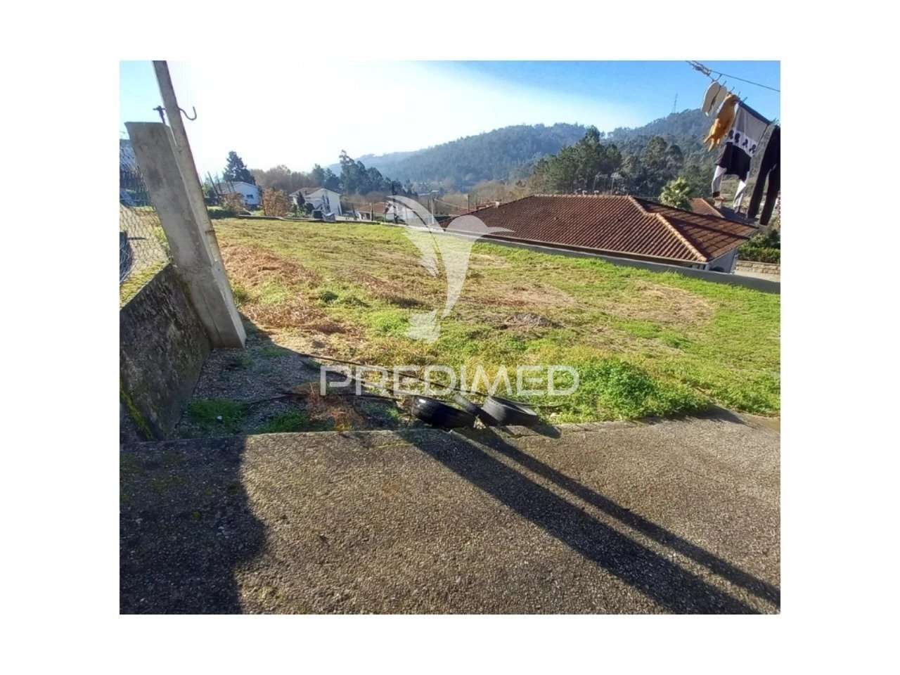 Fantástica Quintinha – Cepães, Fafe ?! - Grande imagem: 4/4