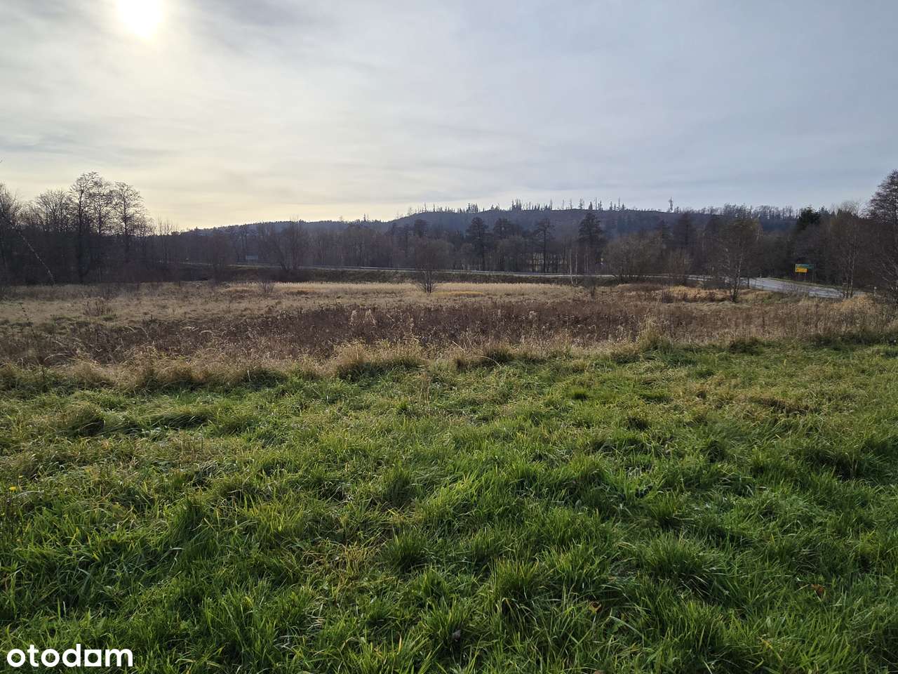 Działka usługowa przy głównej drodze - Wałbrzychu/Kamienna Góra - Pełny obrazek: 4/5