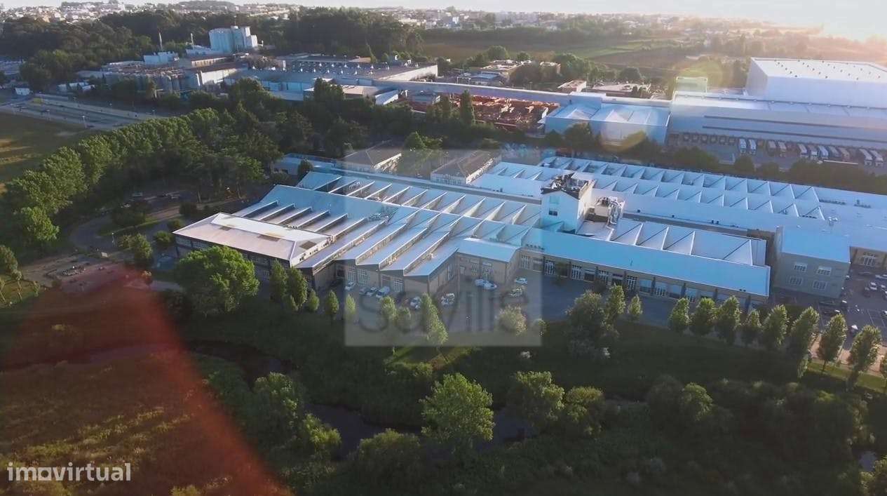 Lionesa Business Hub - Grande imagem: 3/3