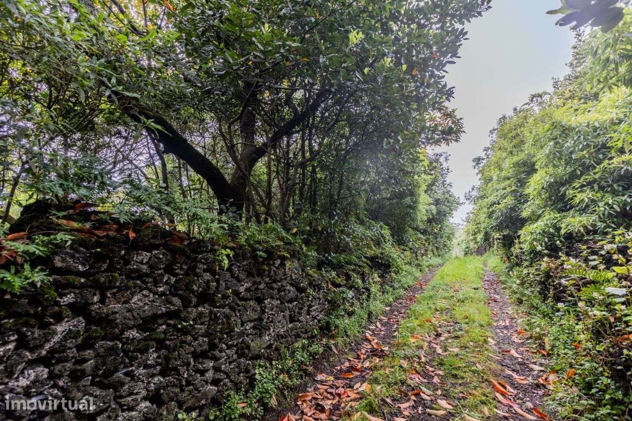 Terreno Rústico no Livramento - Grande imagem: 5/7