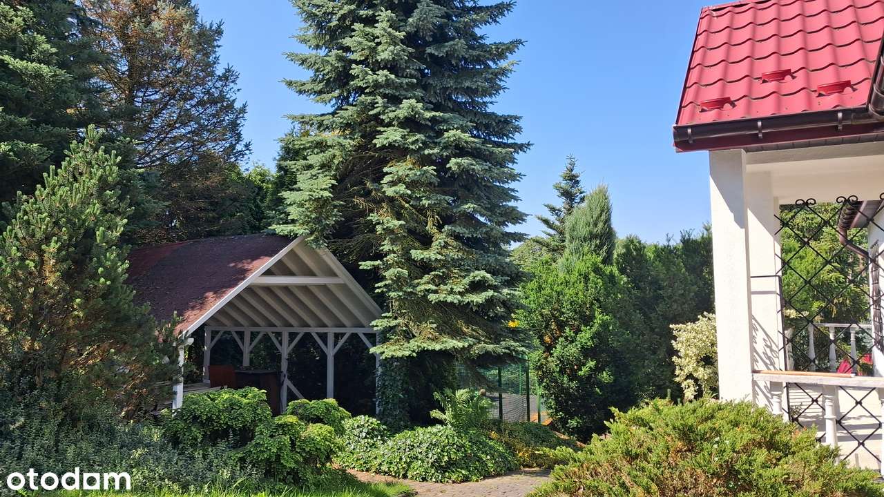 Zadbany dom z wieloma udogodnieniami - Pełny obrazek: 3/20