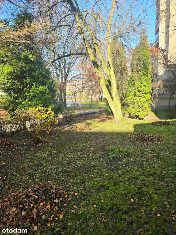 Prądnicka,2pok,idealne po Inwestycję lub by Zamieszkać,2/4,niegłupie-15