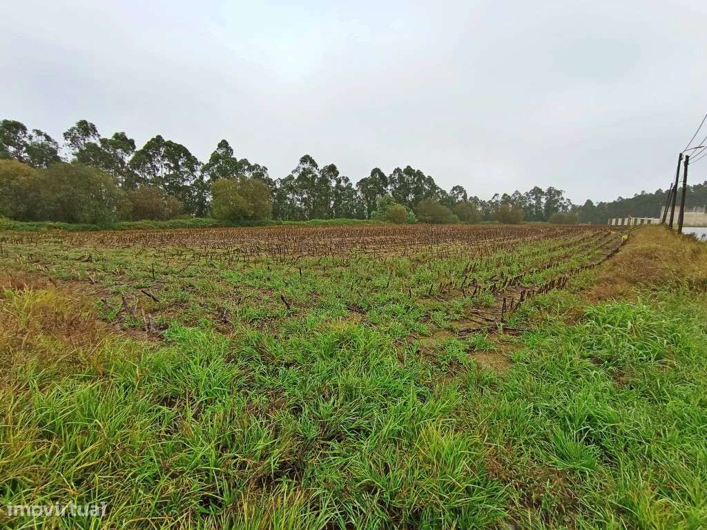 Terreno industrial em Covelas - Grande imagem: 4/5