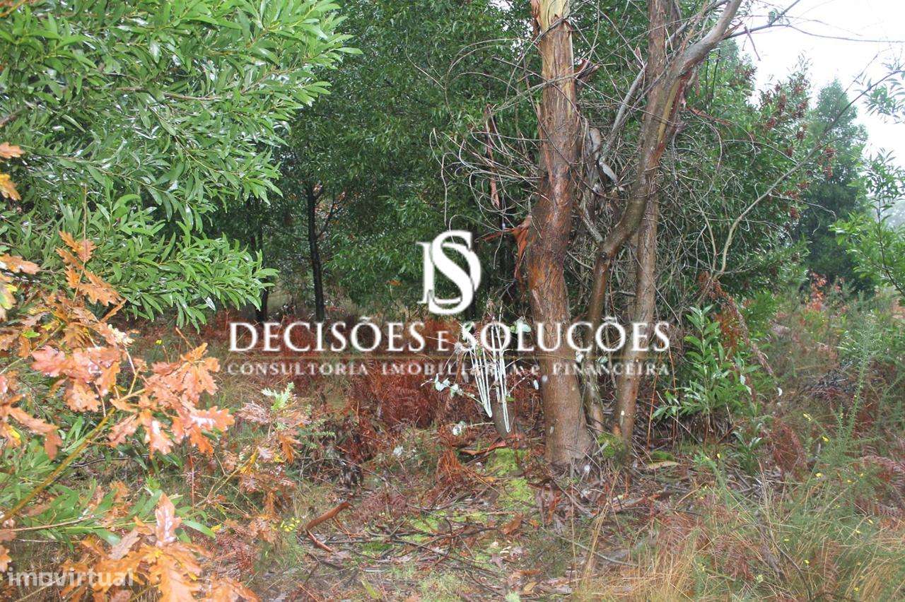 Terreno, Porto, Paços de Ferreira, Carvalhosa - Grande imagem: 5/8