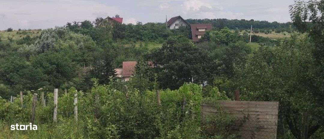 Teren Cârcea - Imagine principală: 4/8