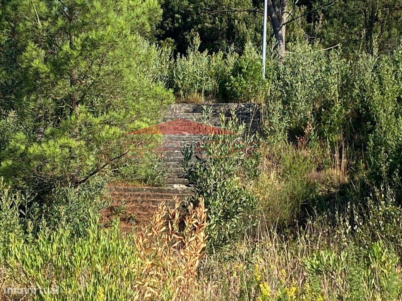 Terreno para construção moradias em Mozelos - Grande imagem: 4/12