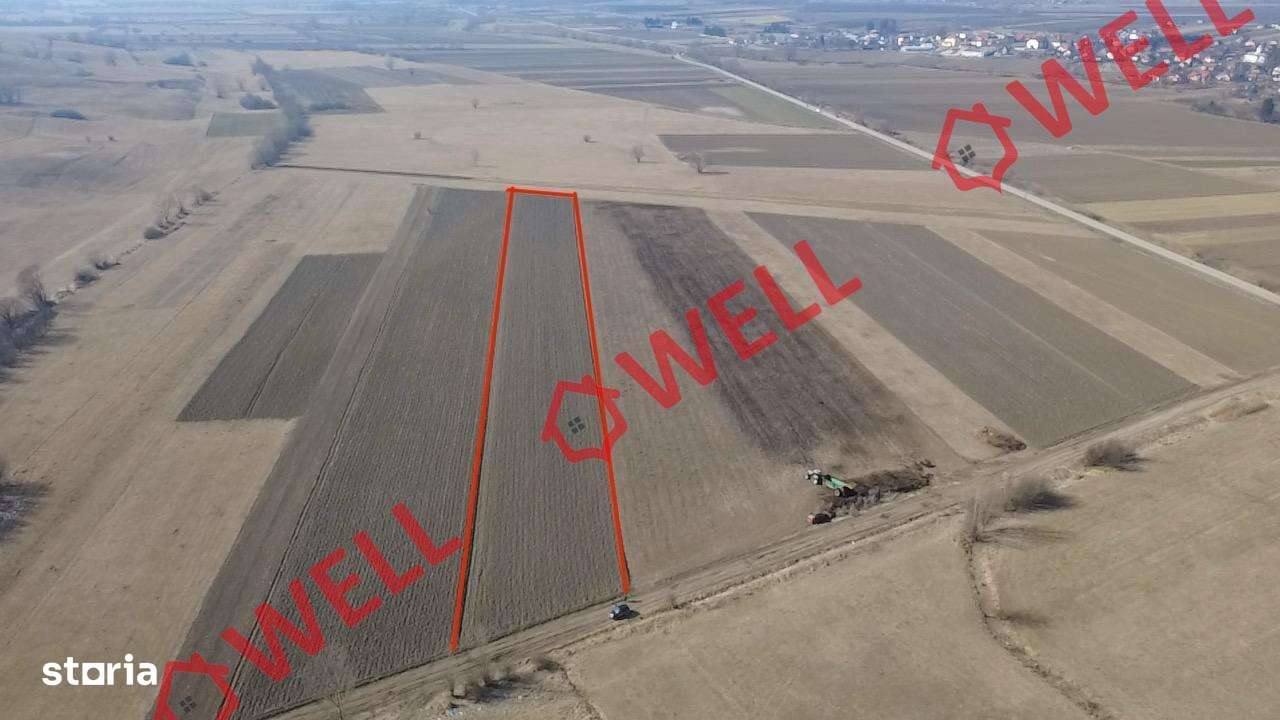 De vânzare teren extravilan în loc.Baraolt - Imagine principală: 3/6