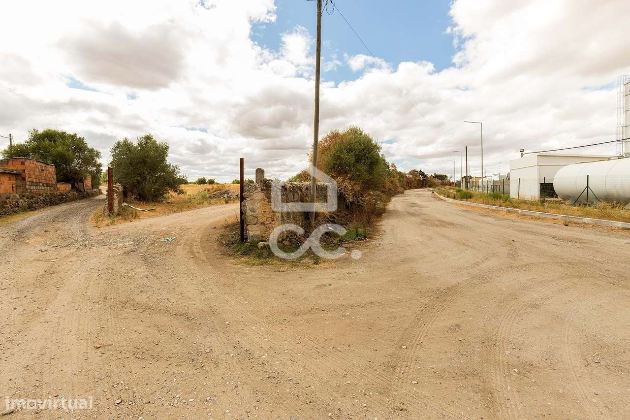 Terreno com 36 500 m2 para construção | Reguengos de Monsaraz - Grande imagem: 2/15