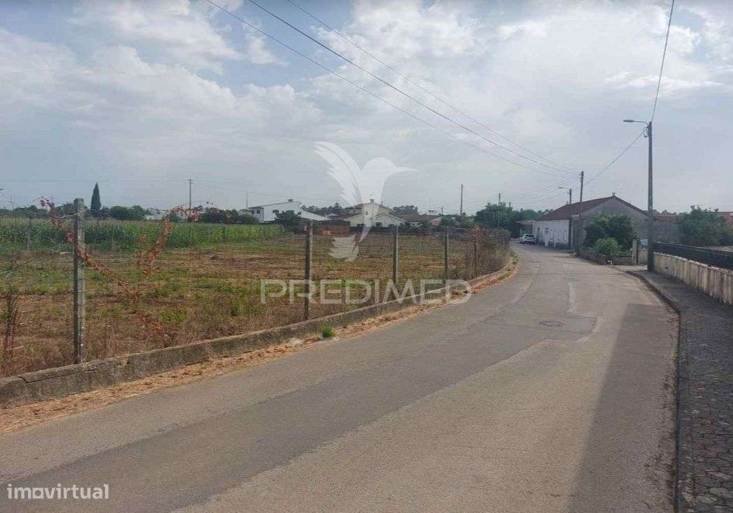 Terreno Rústico em Oiã com 4.190m2 - Grande imagem: 5/5