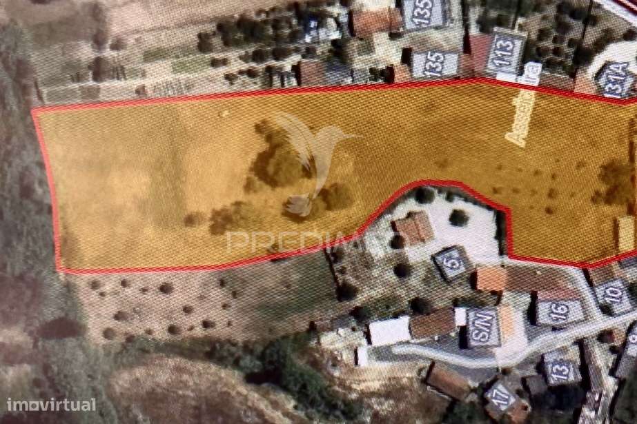 Terreno Urbanizável (Índice Construção 30%) a 5 Minutos Rio Maior - Grande imagem: 4/4