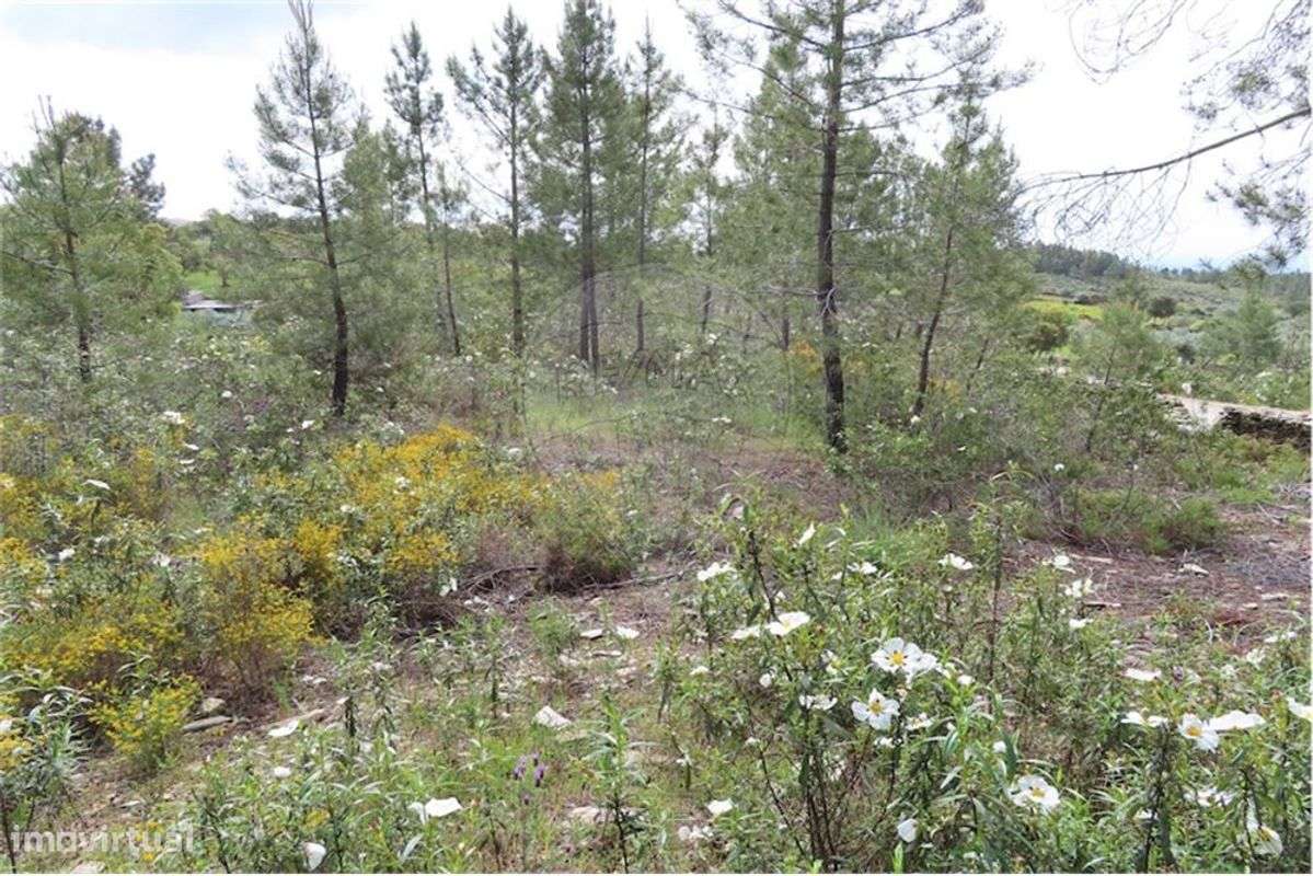 Quinta T0 para venda - Grande imagem: 3/27