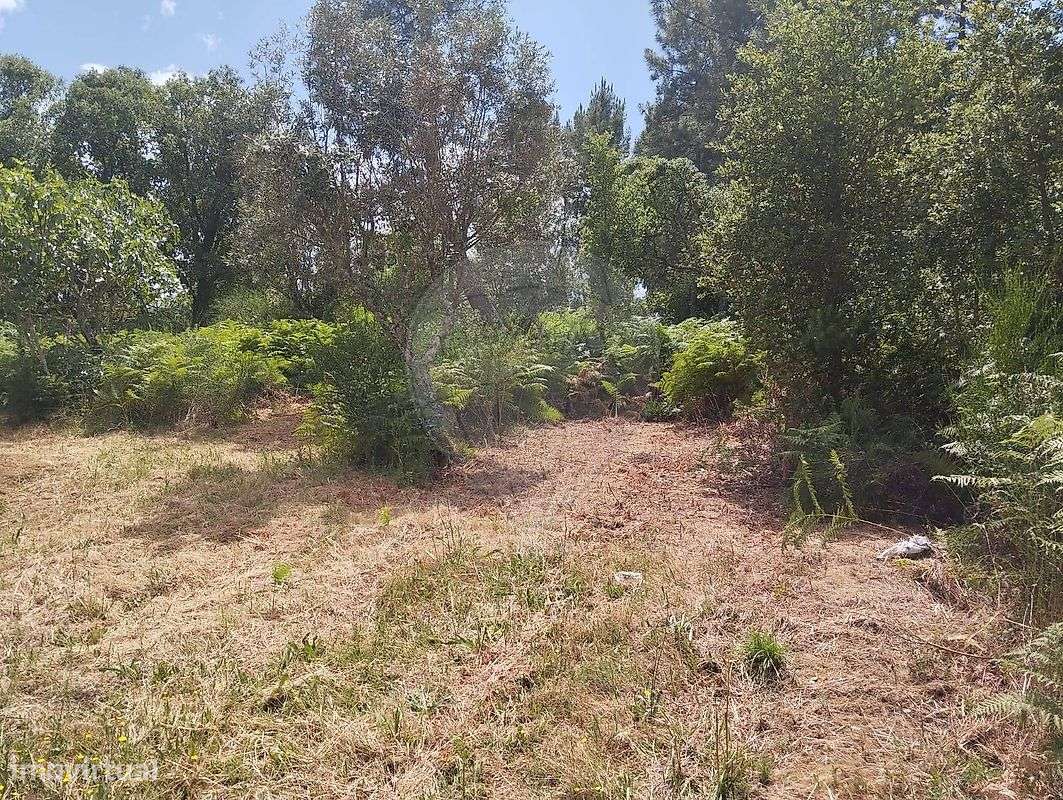 Terreno  para venda - Grande imagem: 4/6