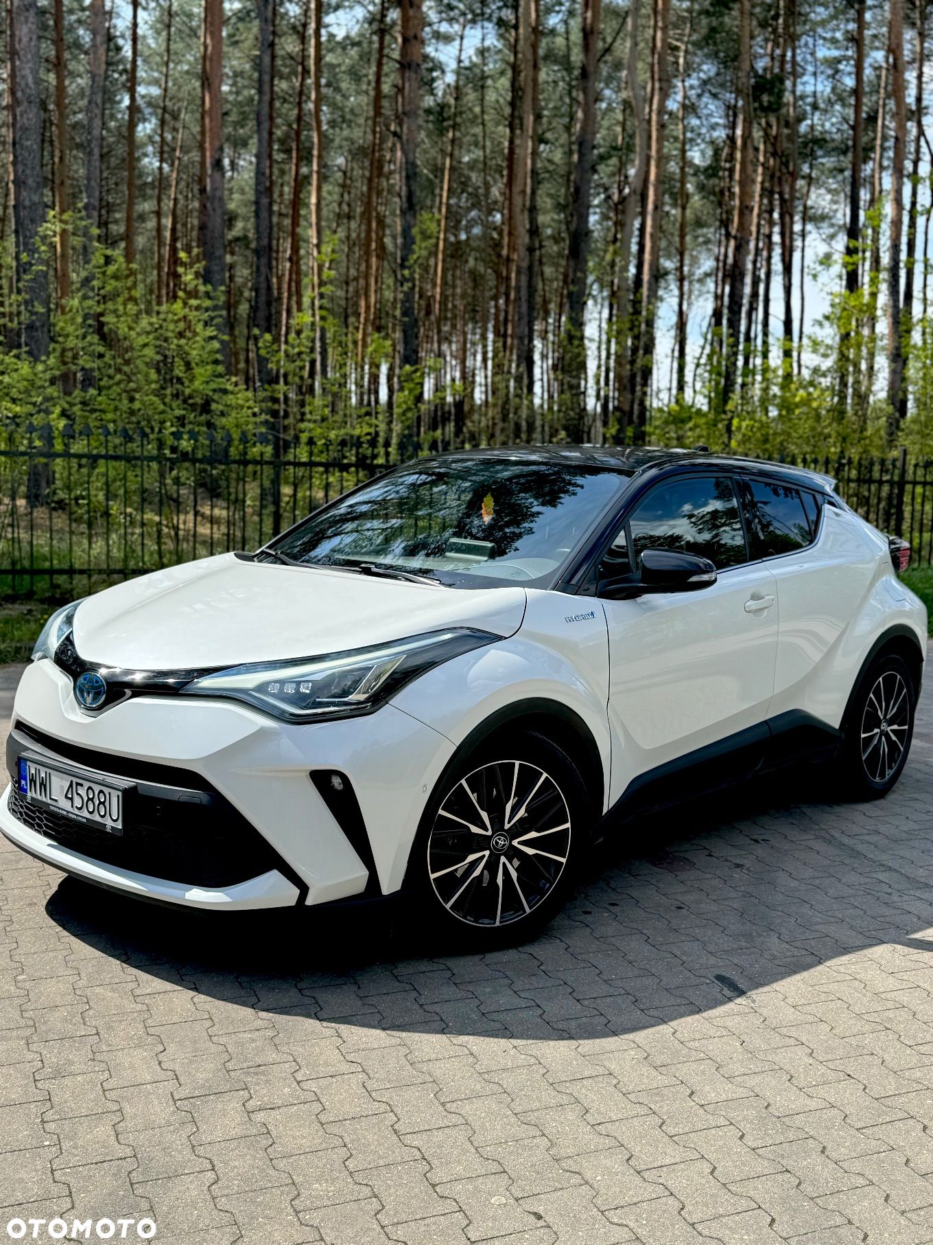 Toyota C-HR - 1