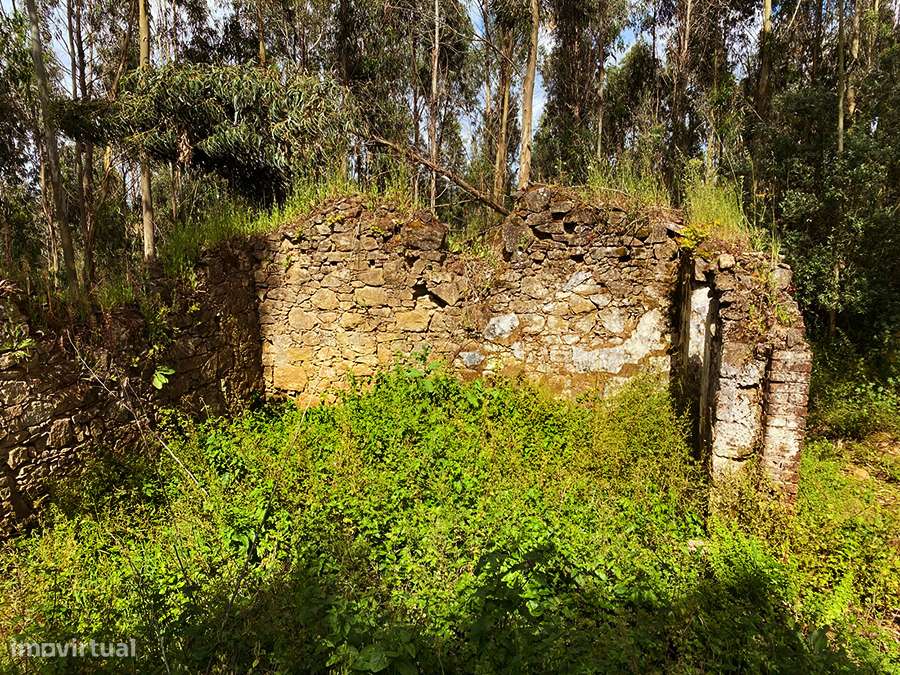 Habitação em ruína, grande terreno, a 5 min. de C. da Rainha e Óbidos - Grande imagem: 3/11