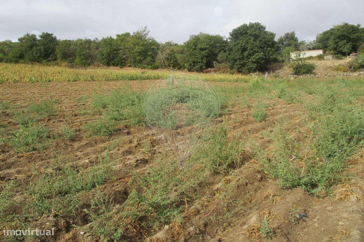 Terreno  para venda - Grande imagem: 4/8
