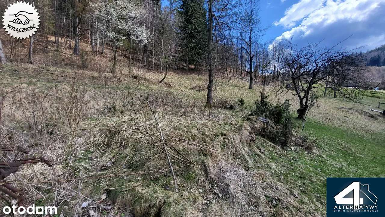 Działka budowlana z własnym lasem - Pełny obrazek: 5/9