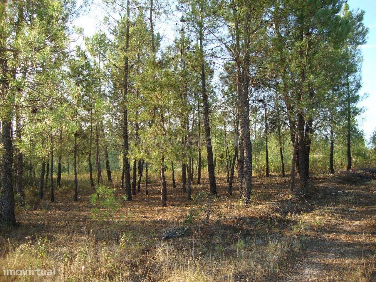 Terreno - Grande imagem: 3/5