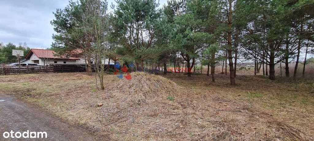 Łoś działka 1118 m2 budowlana, media, las-1