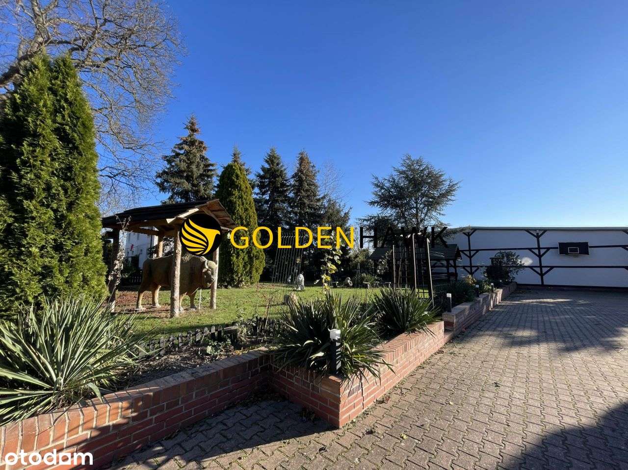 Działka 11 600m2!Dom z dużym ogrodem! - Pełny obrazek: 3/10