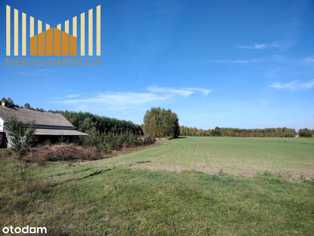 Atrakcyjna działka 30 min od Warszawy - Pełny obrazek: 4/5