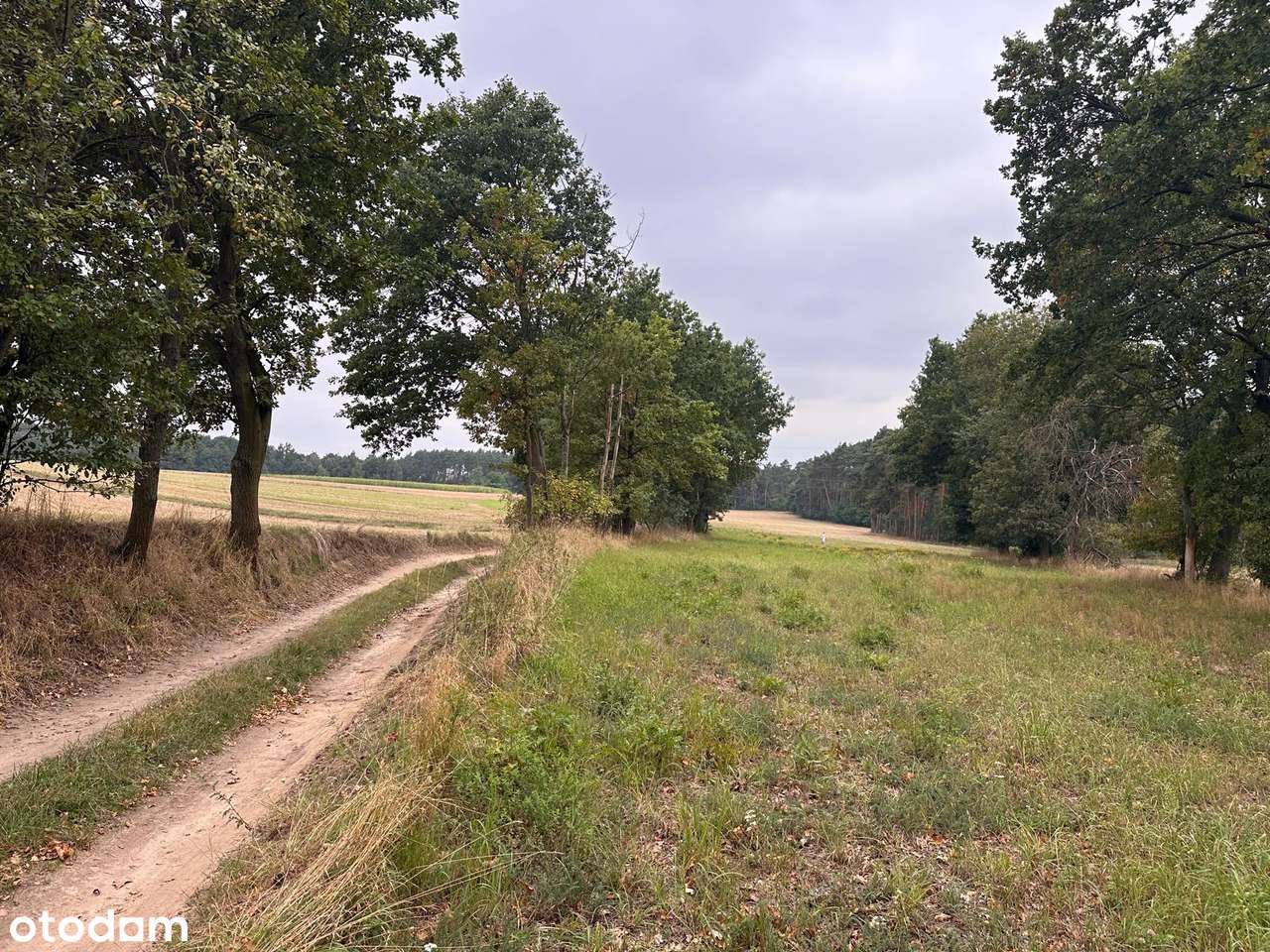 Atrakcyjna działka budowlana przy lesie, wieś Śrem k.Sierakowa-6