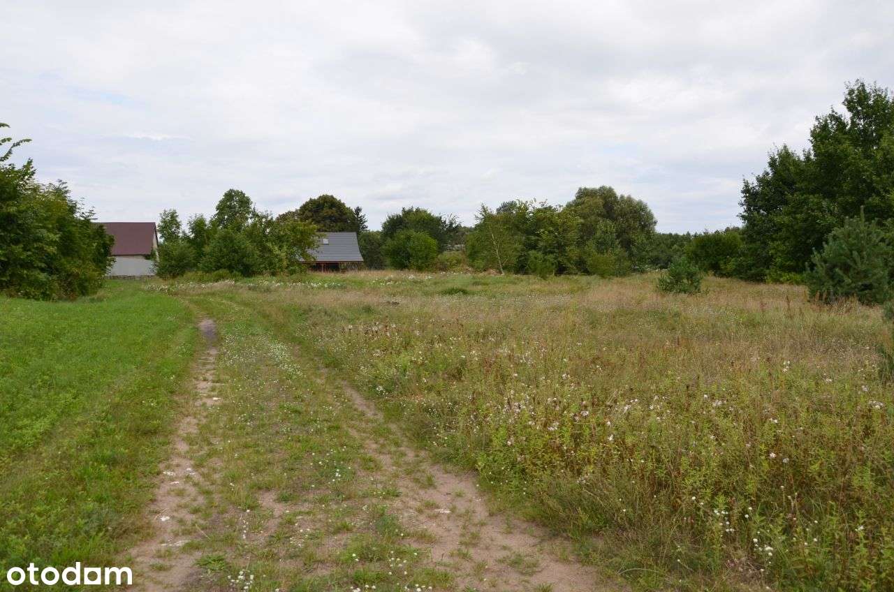 Budowlana w gm. CHOROSZCZ, ostatnia działka !-11