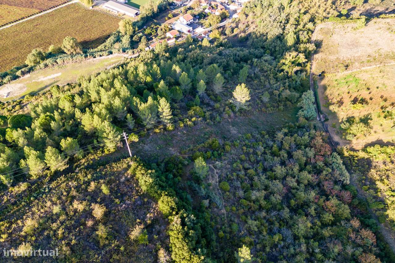 TERRENO RÚSTICO | 7.760 M2 | MECA | ALENQUER - Grande imagem: 5/5