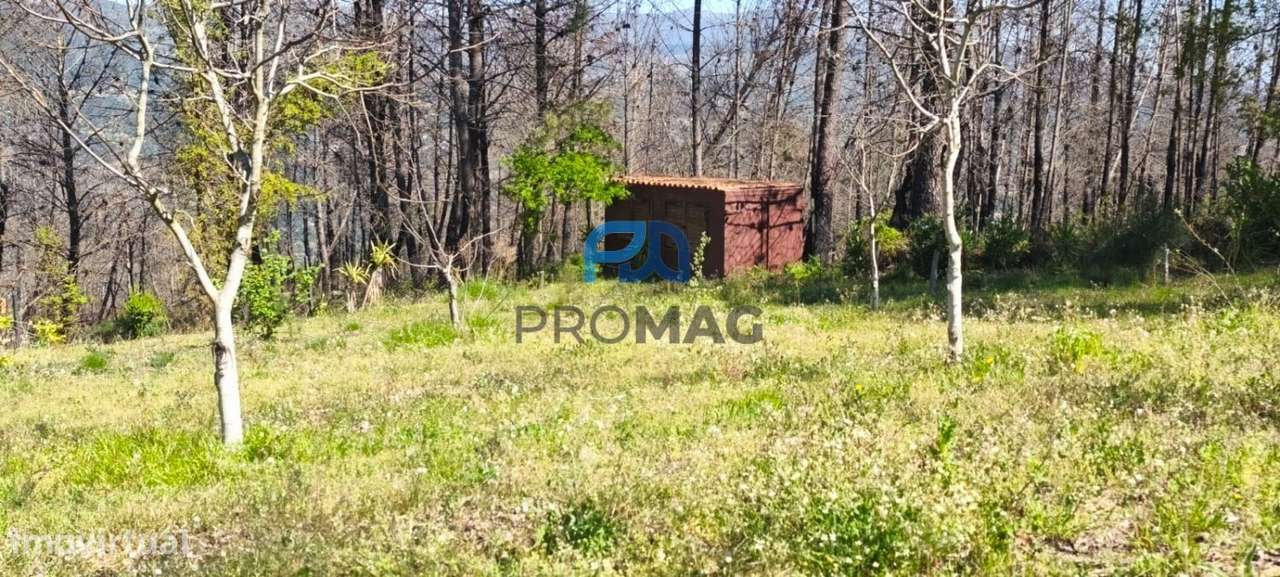 Quinta com 3 artigos urbanos, piscina e 9,4 ha em Resende-4