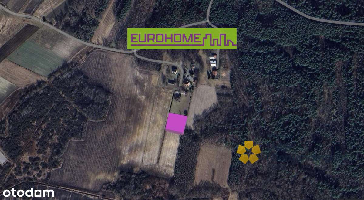 Działka z Warunkami Zabudowy | 30 ar | Podborze | - Pełny obrazek: 4/8