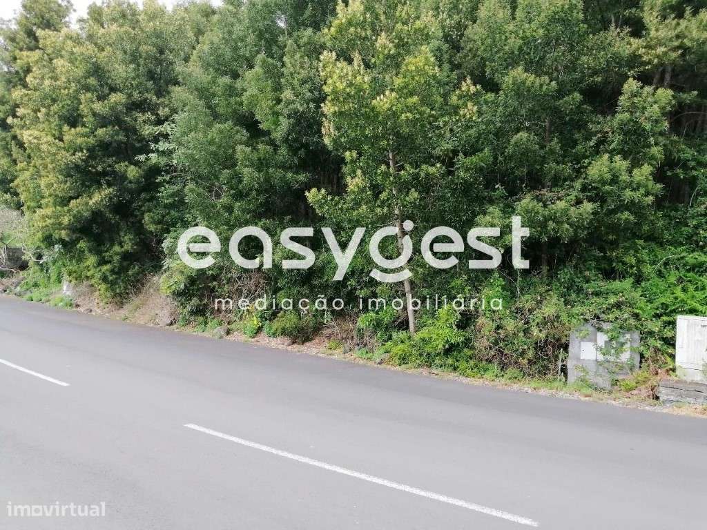 Lote com 375m2 para construção de moradia T5 em Terra Chã - Grande imagem: 5/5