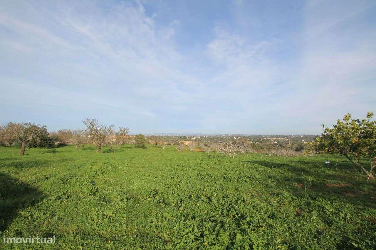 Quinta perto Amendoeiras Golfe com uma casa habitável e uma Ruina - Grande imagem: 4/8