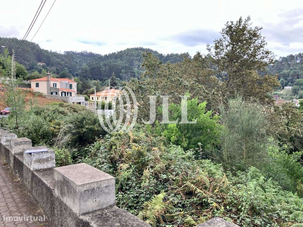 Terreno rústico na zona do Vale Paraíso, Madeira - Grande imagem: 4/5