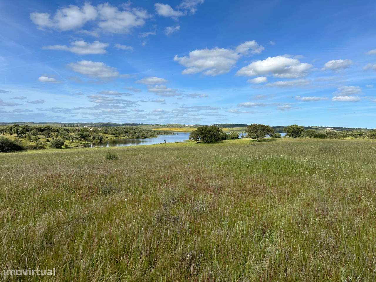 Terreno em Terena - Lagoa do Campo 14 ha - Grande imagem: 4/8
