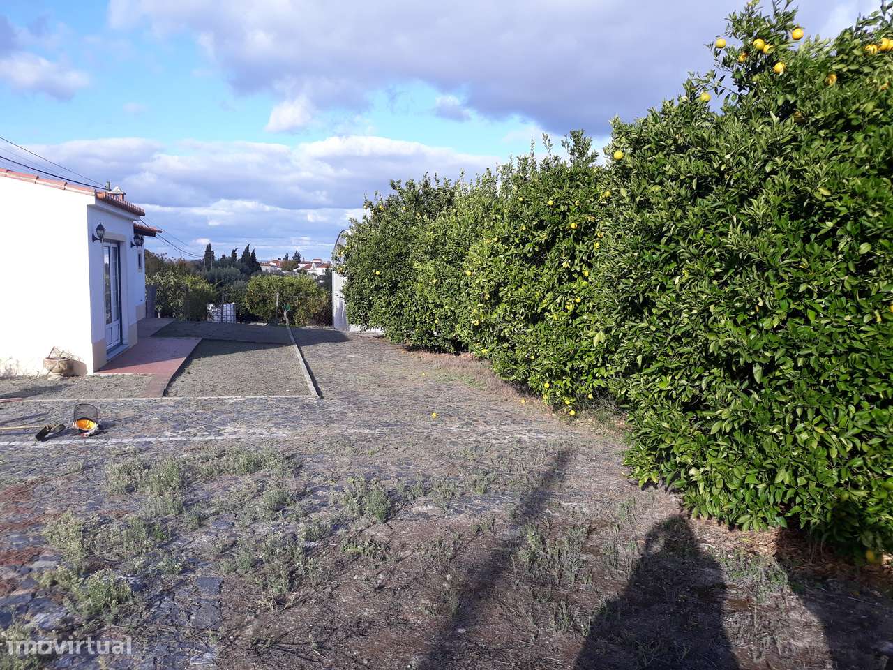 Quinta  em Beringel-40