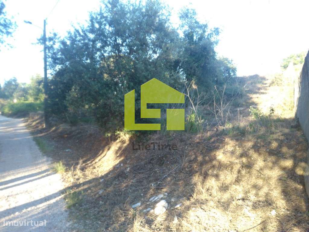 Terreno para construção. - Grande imagem: 3/10