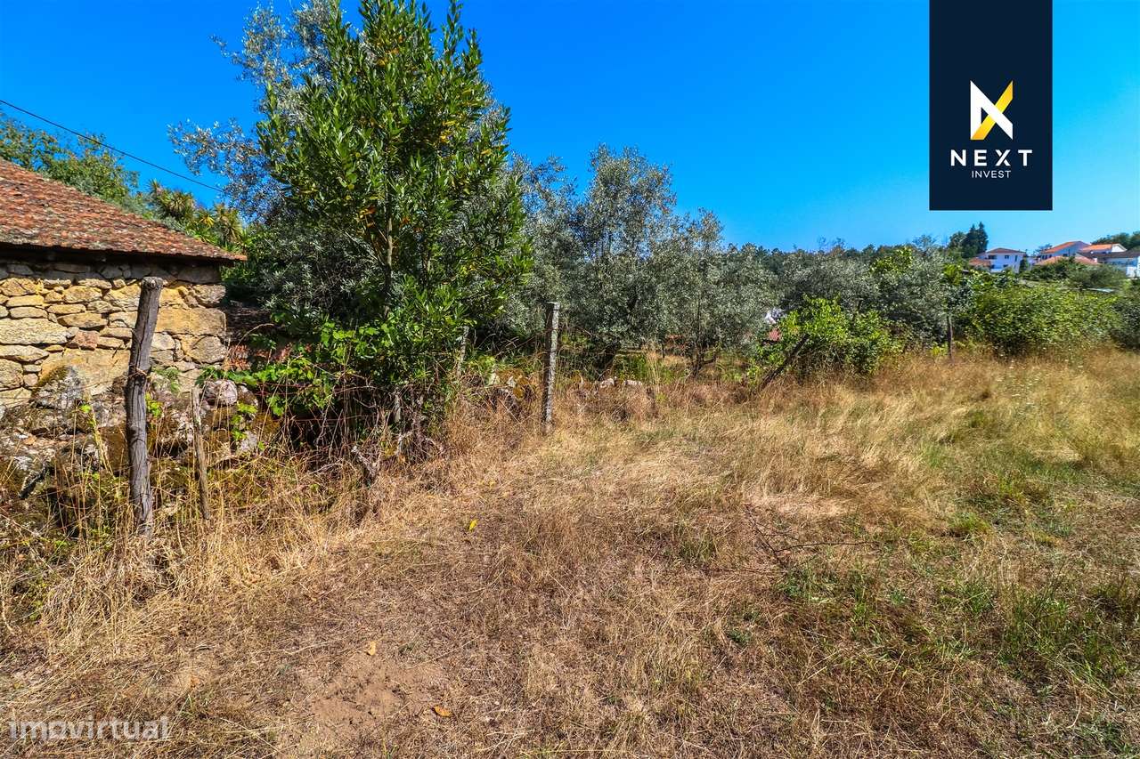 Quintinha com moradia para reconstruir a 10 minutos de Viseu.-8