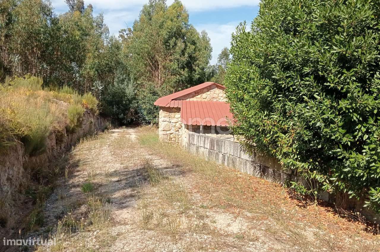 Terreno em Tonda com 2250 m2 - Grande imagem: 3/15