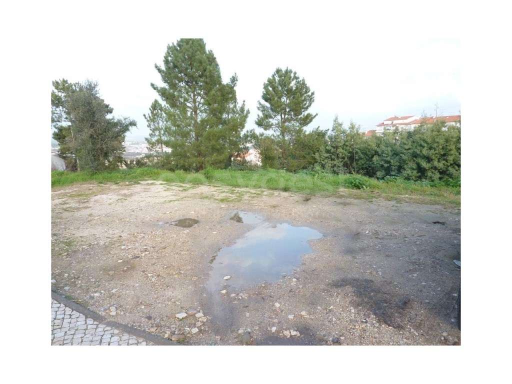 Terreno Urbanizável c/ 25120m2 em Abrantes - Grande imagem: 2/9