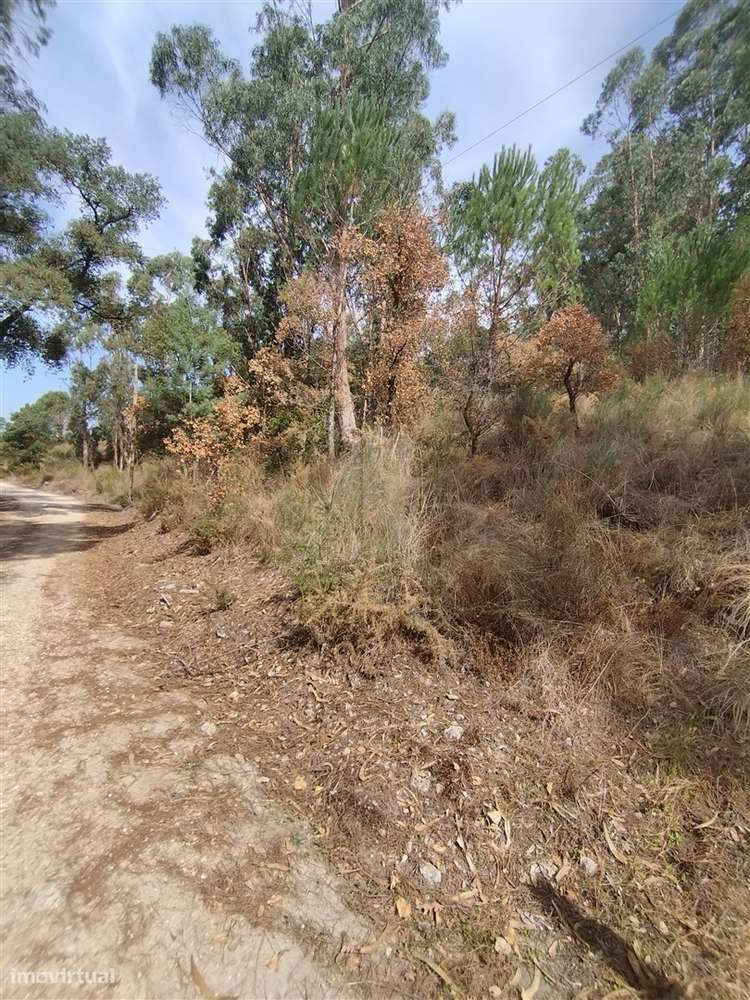 🏡 Terreno com Projeto para 2 Moradias - Grande imagem: 3/11