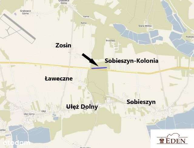 Działki Leśne 1,26 ha we wsi Ułęż, gm. Ułęż, woj. lubelskie - Pełny obrazek: 5/7