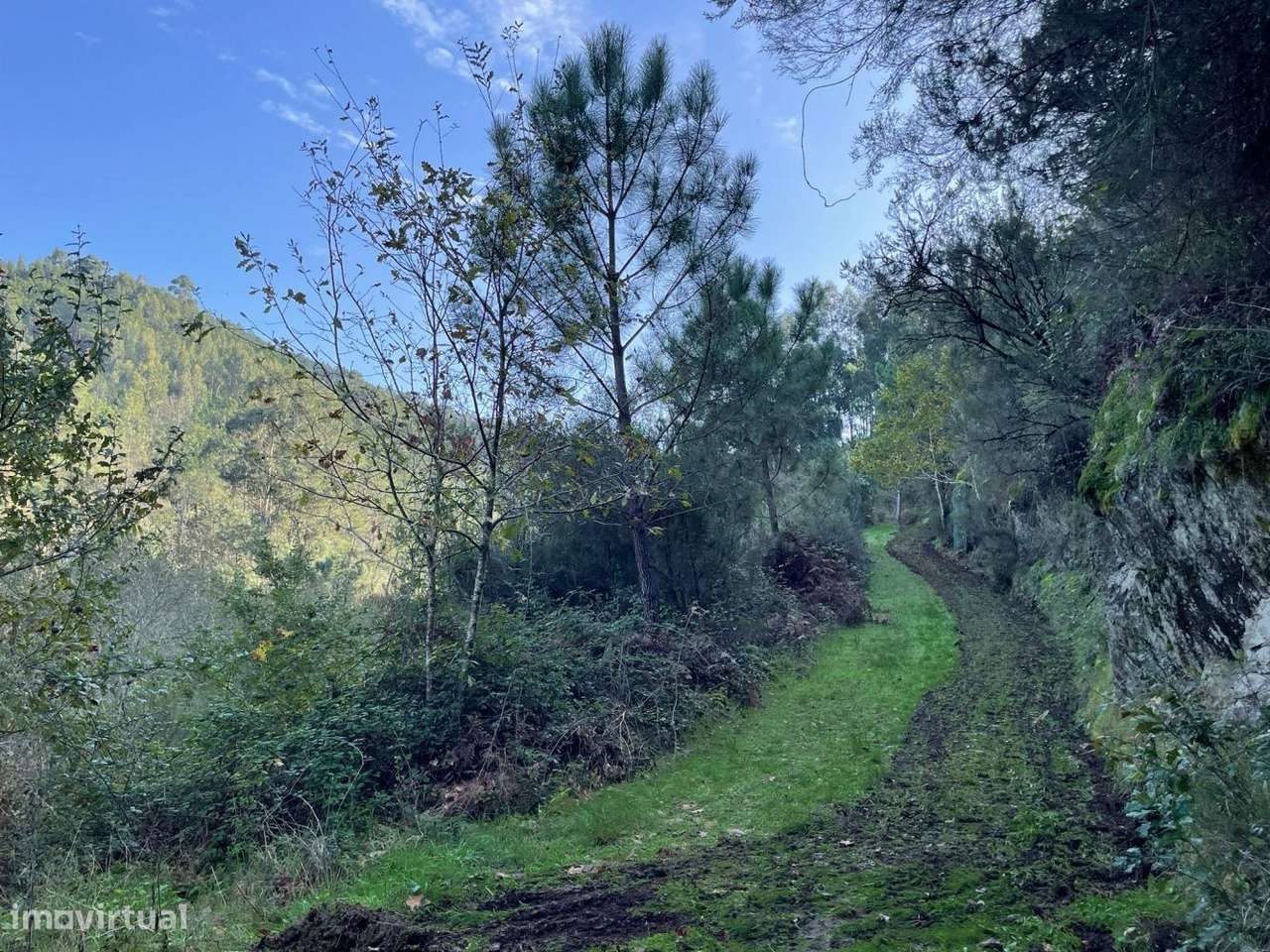 Quinta com casa para recuperar junto a ribeiro-10