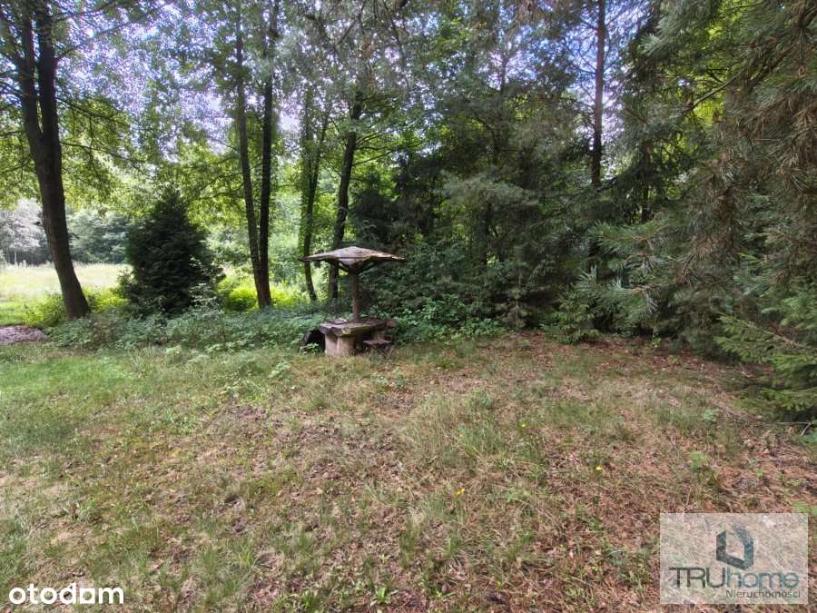 Działka rolno budowlana 1,5 ha | Las, jezioro - Pełny obrazek: 5/8