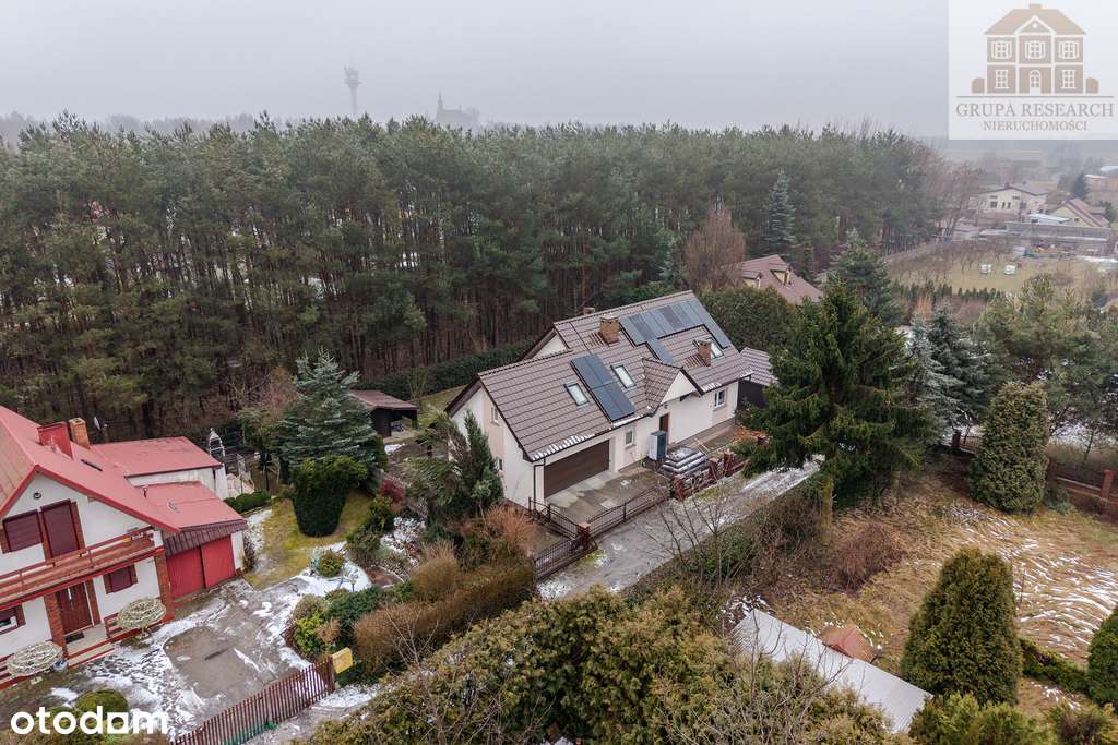 Dom przy samym lesie / Kominek / Przytulny