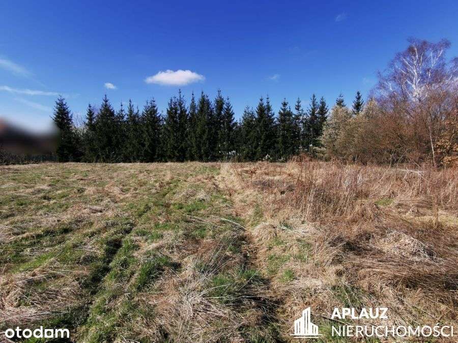 Działka  2417m2 z WZ w Łomnicy - Pełny obrazek: 5/5