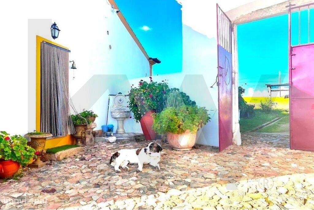 Quinta em Arronches com 12,2 Ha. 5 hectares - Grande imagem: 5/56