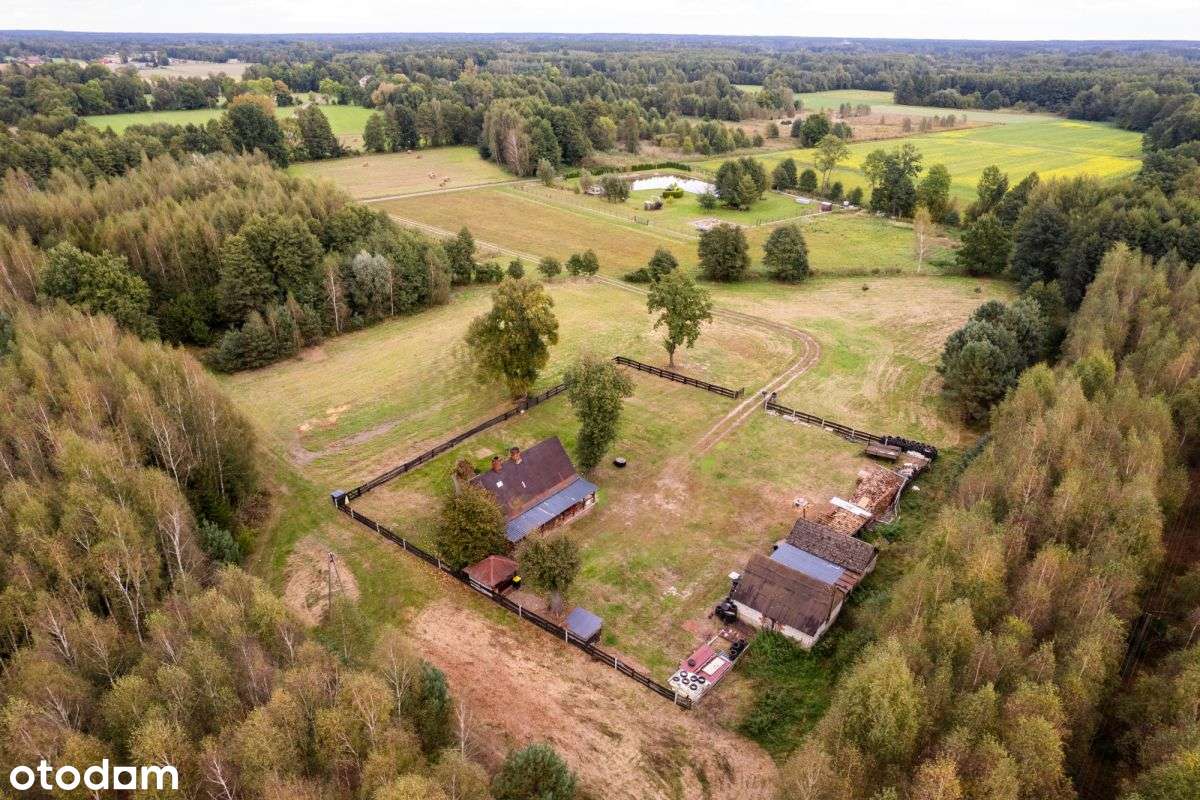 Siedlisko w m. Boruja Nowa-14