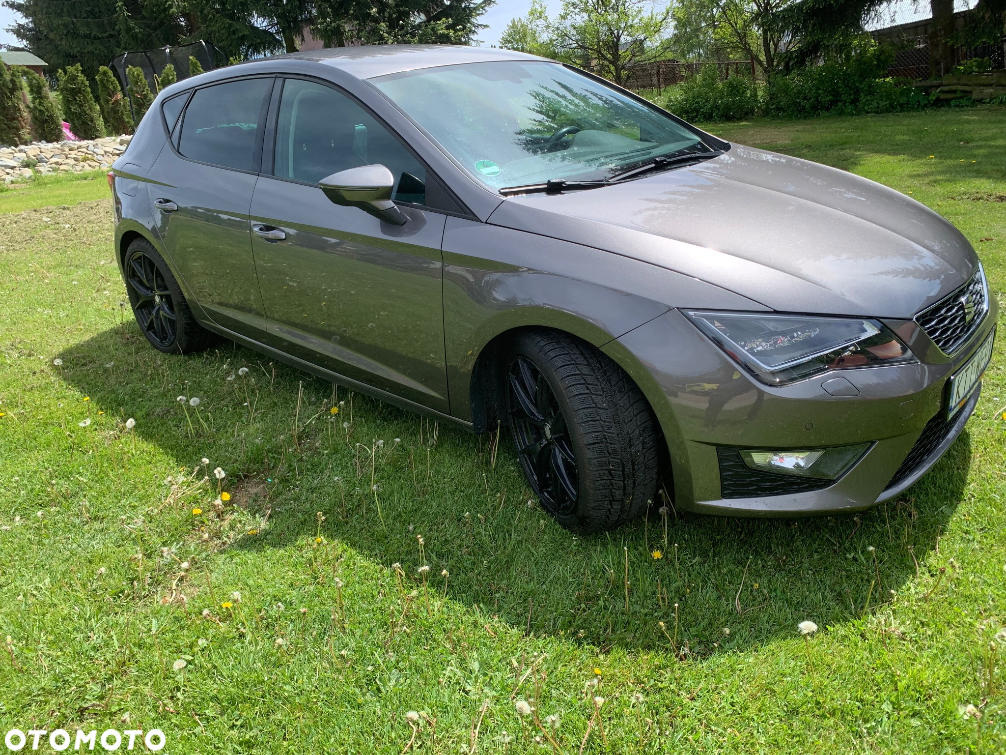 Seat Leon - 6